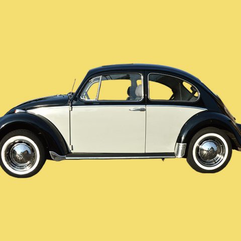 VW Käfer 1300 Baujahr 1965 / T1-Berlin.de